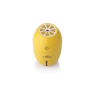 Lemon humidifier