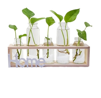 Refreshing plant container wooden frame