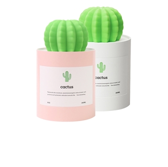 Cactus humidifier