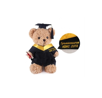 Graduation bear doll