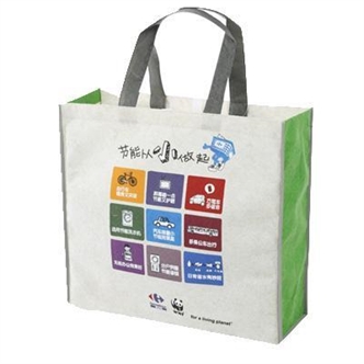 Recycle bag