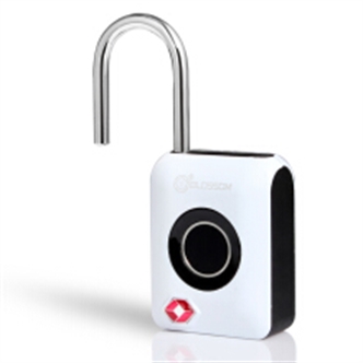 Intelligent electronic fingerprint padlock