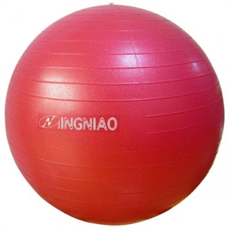 Fitness Ball