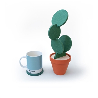 Creative cactus coaster